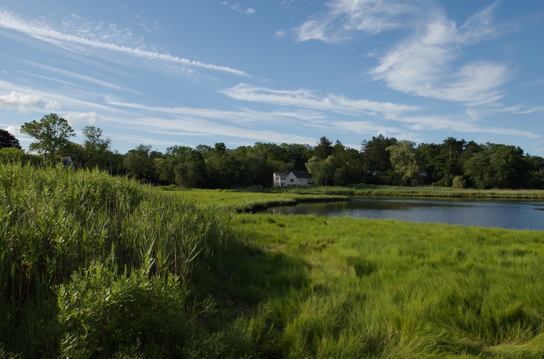 Picture taken in Westport, CT